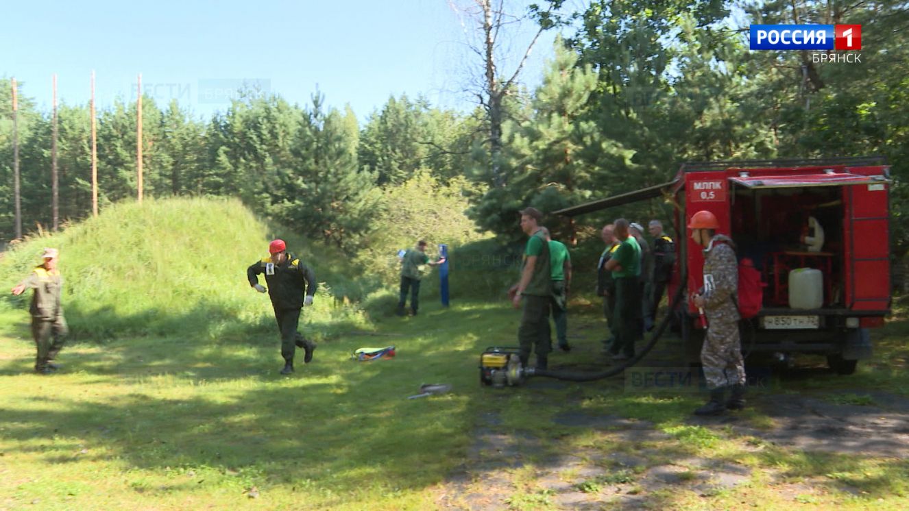 Конкурс «Лучший лесной пожарный» состоится в Брянске