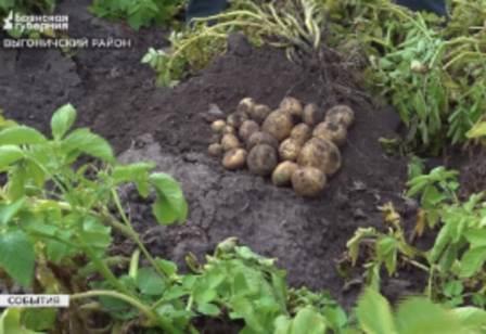 Делегация аграриев Приморья познакомилась с брянским опытом в отрасли растениеводства