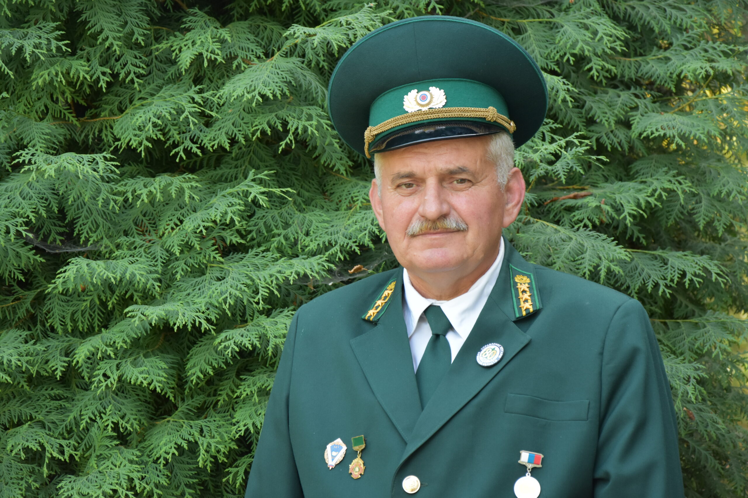 Мглинское лесничество: сохранять, беречь, приумножать