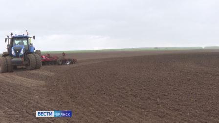 В Брянской области продолжается озимый сев зерновых культур