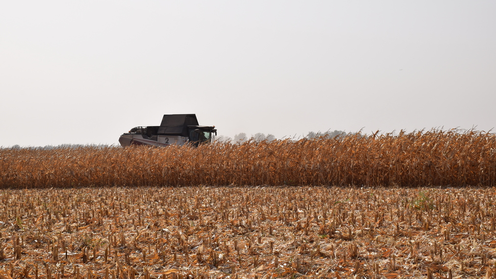 В Климовском районе на Брянщине подвели итоги текущего сельскохозяйственного года