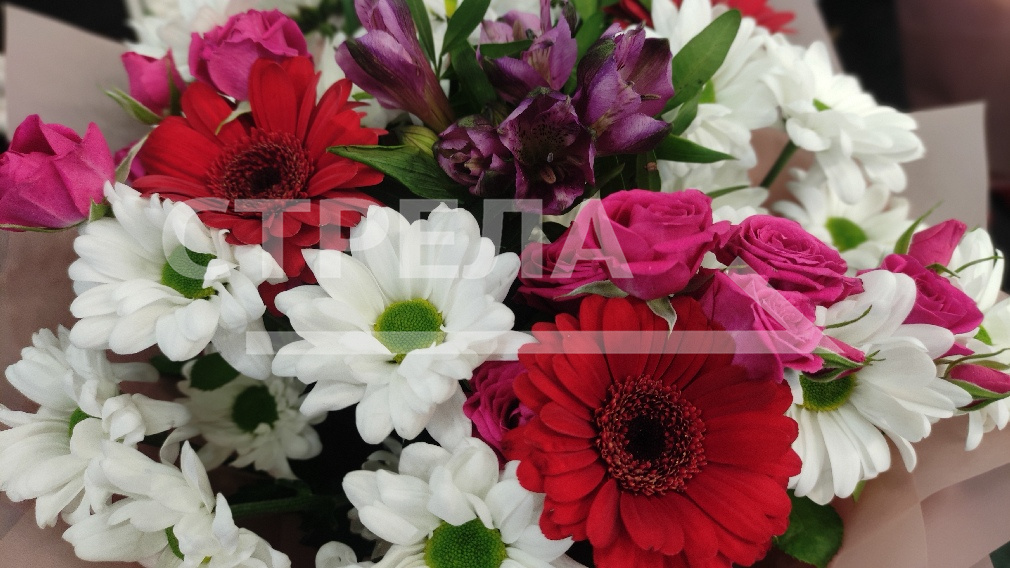 Губернатор Александр Богомаз поздравил земляков, награжденных государственными наградами