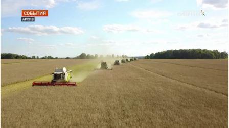 Брянские аграрии встречают профессиональный праздник с хорошими результатами