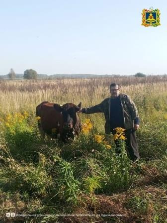 Житель Брянщины благодаря соцконтракта реализовал план по продаже молочной продукции