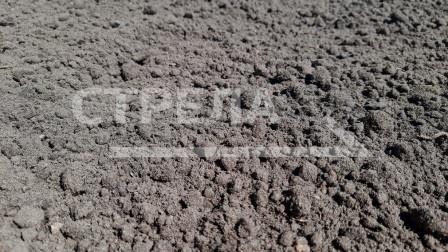 Брянским многодетным семьям предоставили почти семь тысяч земельных участков