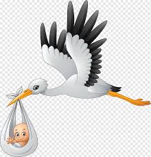 В Мглинском районе зарегистрировано рождение малыша