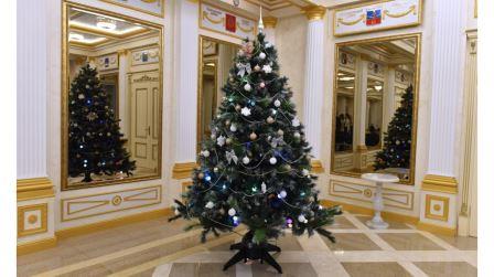 Заместитель губернатора Брянской области Галина Петушкова исполнила новогоднее желание Арсения