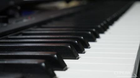 За семь лет проект «Культура малой Родины» охватил 184 брянских Домов культуры