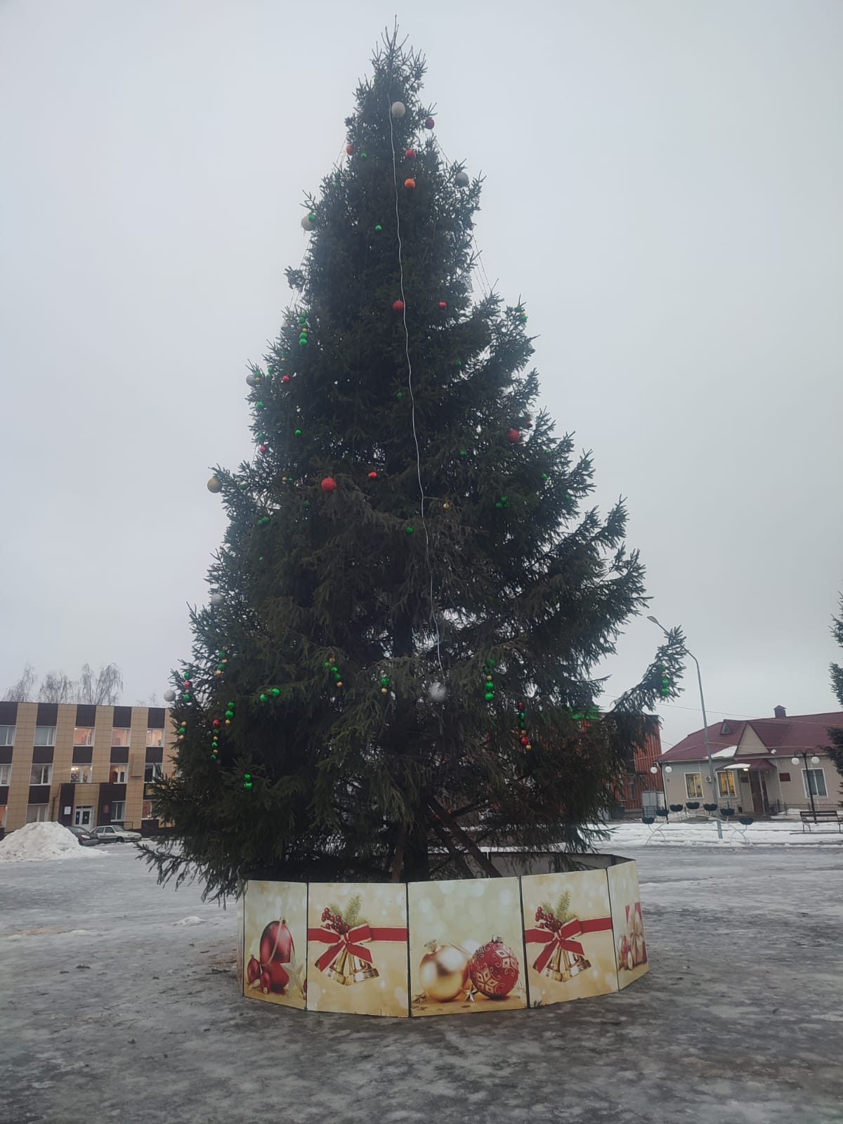 Площадь Советскую г. Мглина украсила новогодняя ель