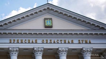 Социальный бюджет Брянщины в облдуме поддержали большинством голосов