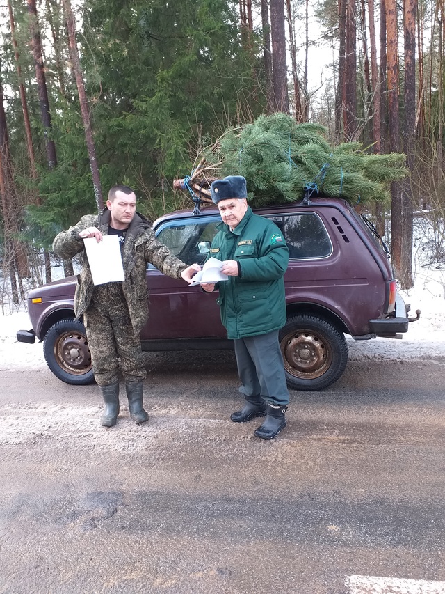 На территории Мглинского лесничества введено усиленное патрулирование