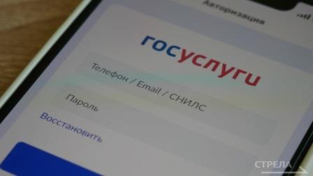 Брянцам рассказали, как удобно пользоваться приложением Госуслуги.Дом