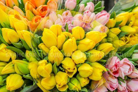 Дорожное управление Брянска подарит женщинам 20 тысяч тюльпанов