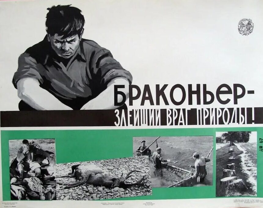 В Мглинском районе проходит операция «Браконьер»