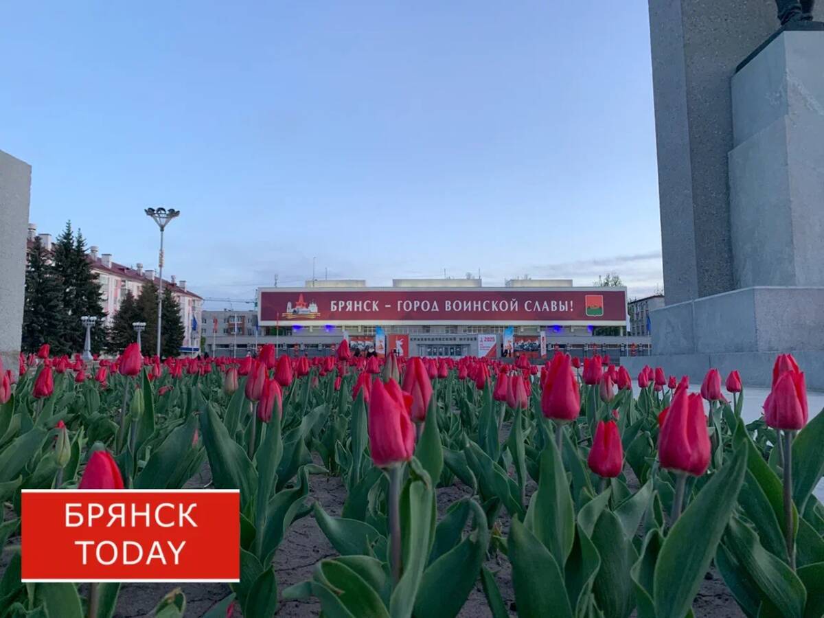 Брянская область включена в госпрограмму восстановления пострадавших территорий