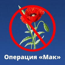 На территории Мглинского района проводится операция «Мак-2025»