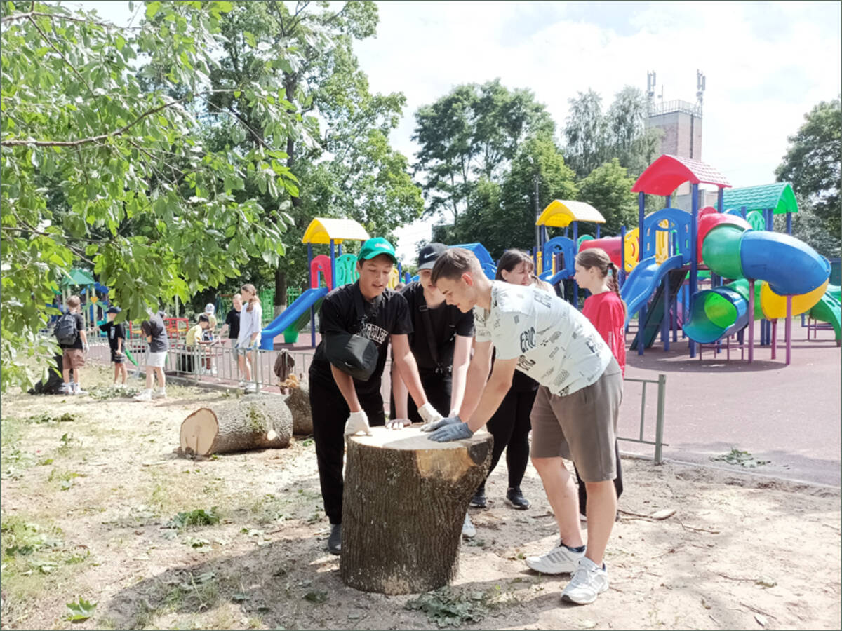 «Движение Первых» пришло на помощь коммунальным службам в брянском  Климово