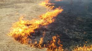 На территории Мглинского района проходит профилактический месячник «Сухая трава»