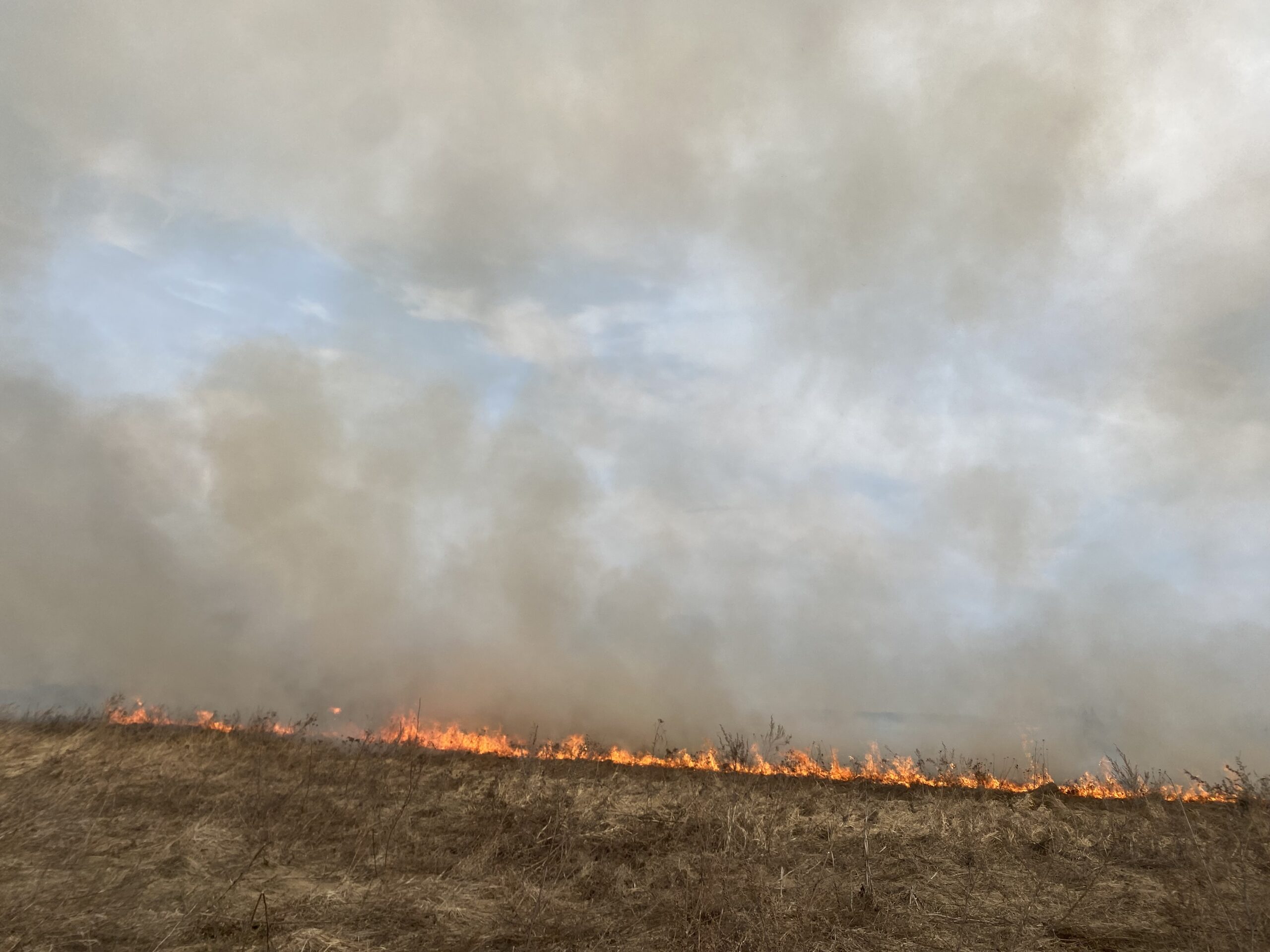 В Мглинском районе продолжается месячник «Сухая трава»