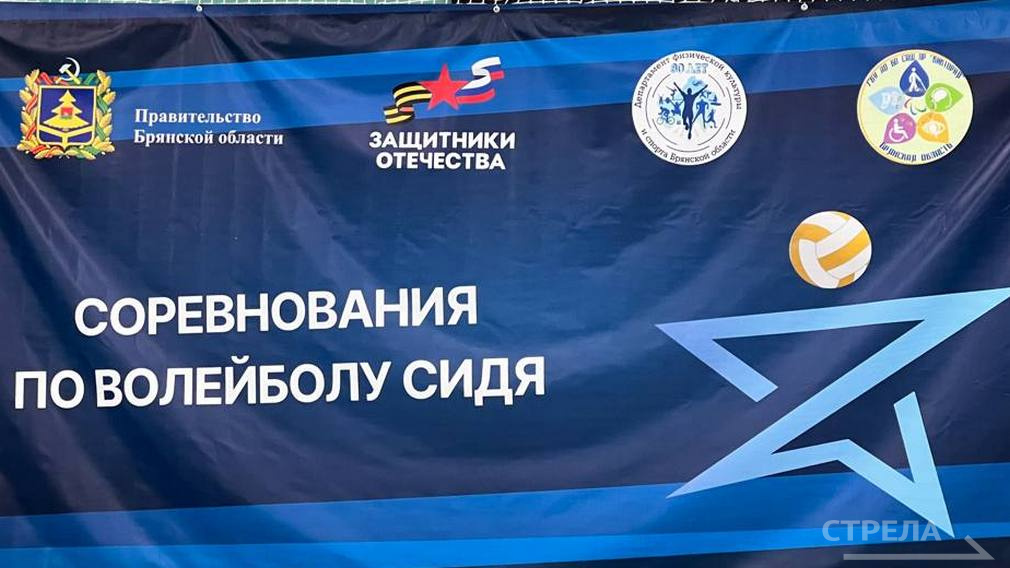 В Брянске прошел турнир по волейболу сидя для ветеранов