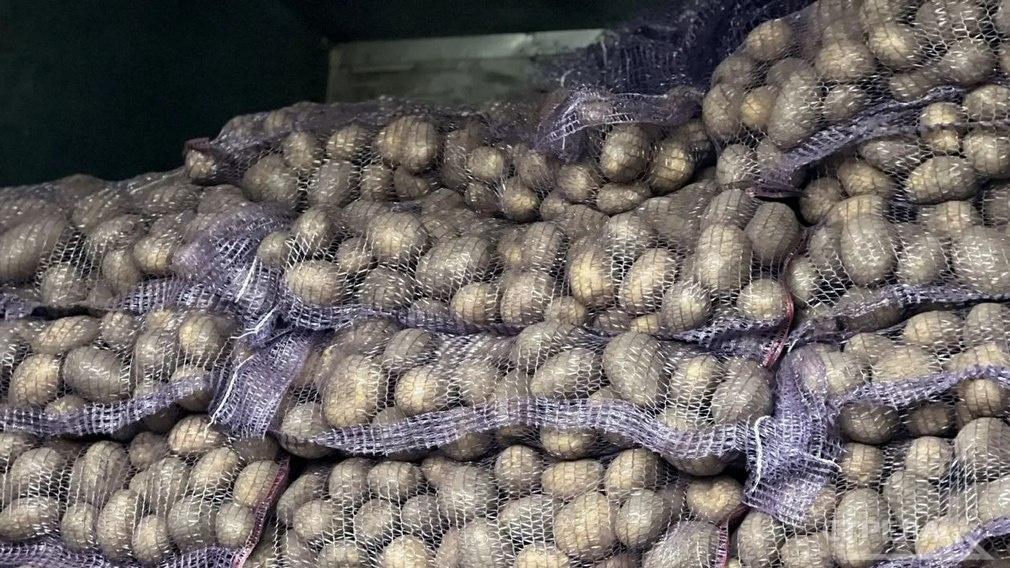 В Брянске на ярмарках выходного дня предлагают сельхозпродукцию по доступным ценам