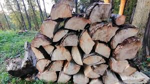 В Брянской областной Думе поддержали закон о выплате на топливо участникам СВО