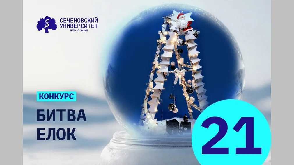 Брянский филиал Сеченовского университета стал призёром конкурса «Битва Ёлок»
