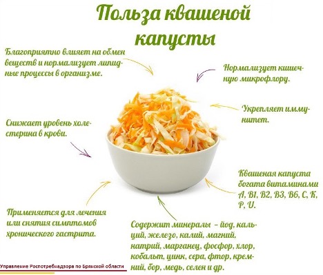 Мглинчанам рассказали о полезных свойствах капусты