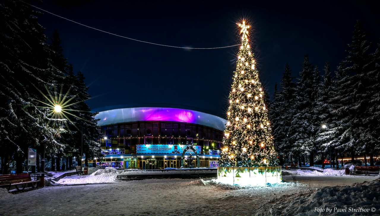 Брянцам предлагают выбрать самую красивую ёлку региона