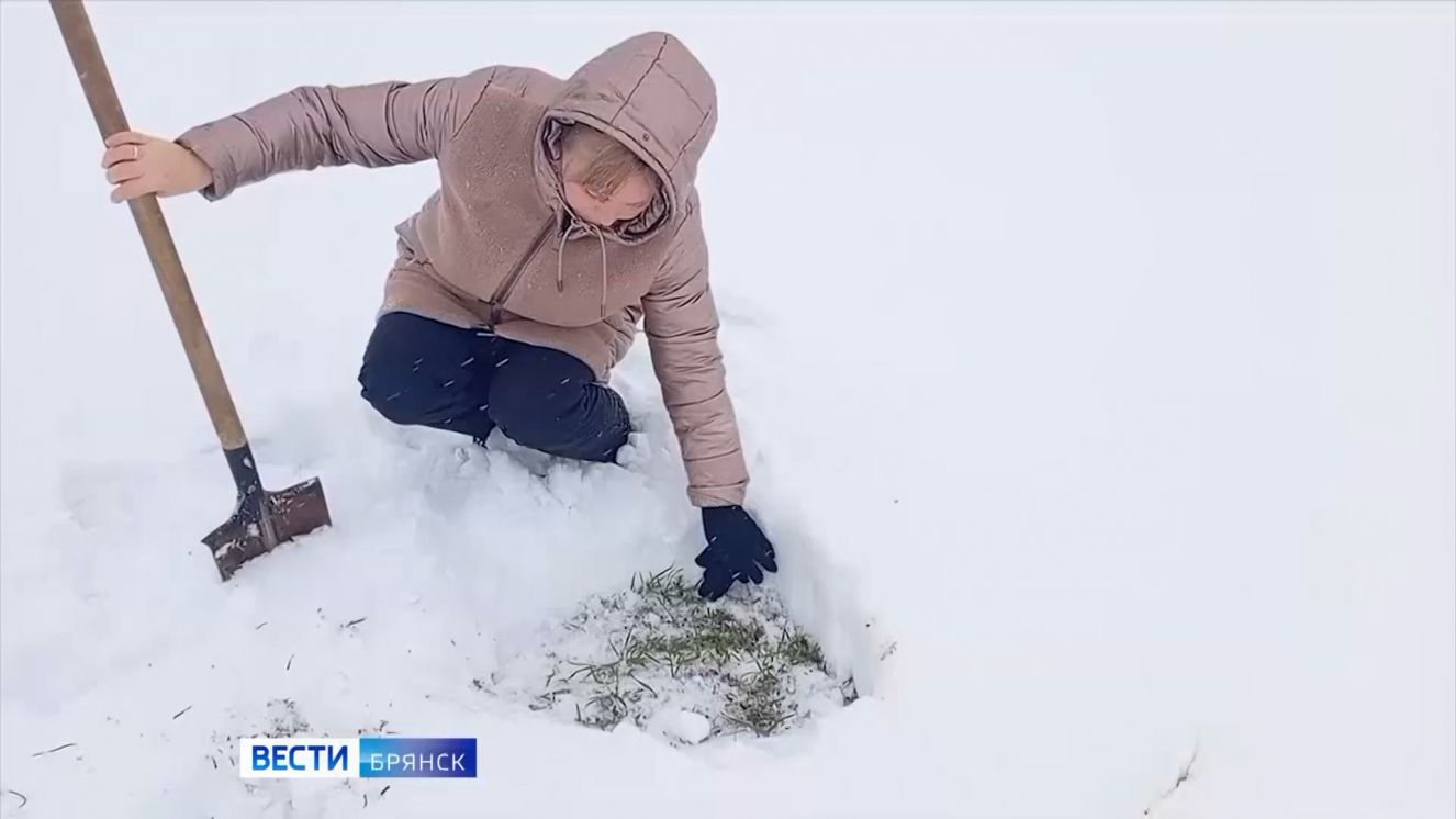 В сельхозпредприятиях области начали мониторинг состояния озимых культур