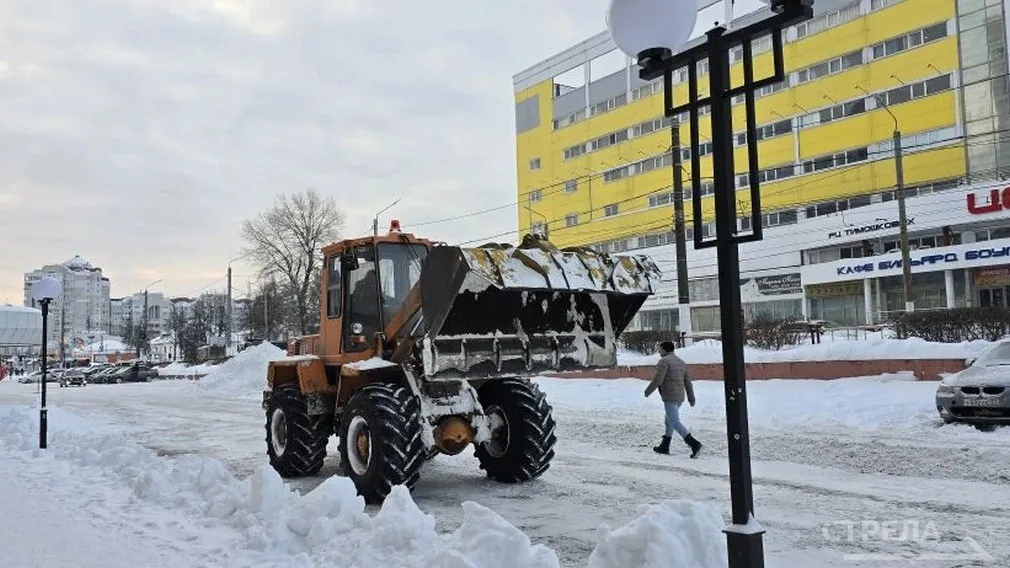 Из Брянска за сутки вывезли более 1500 тонн снега