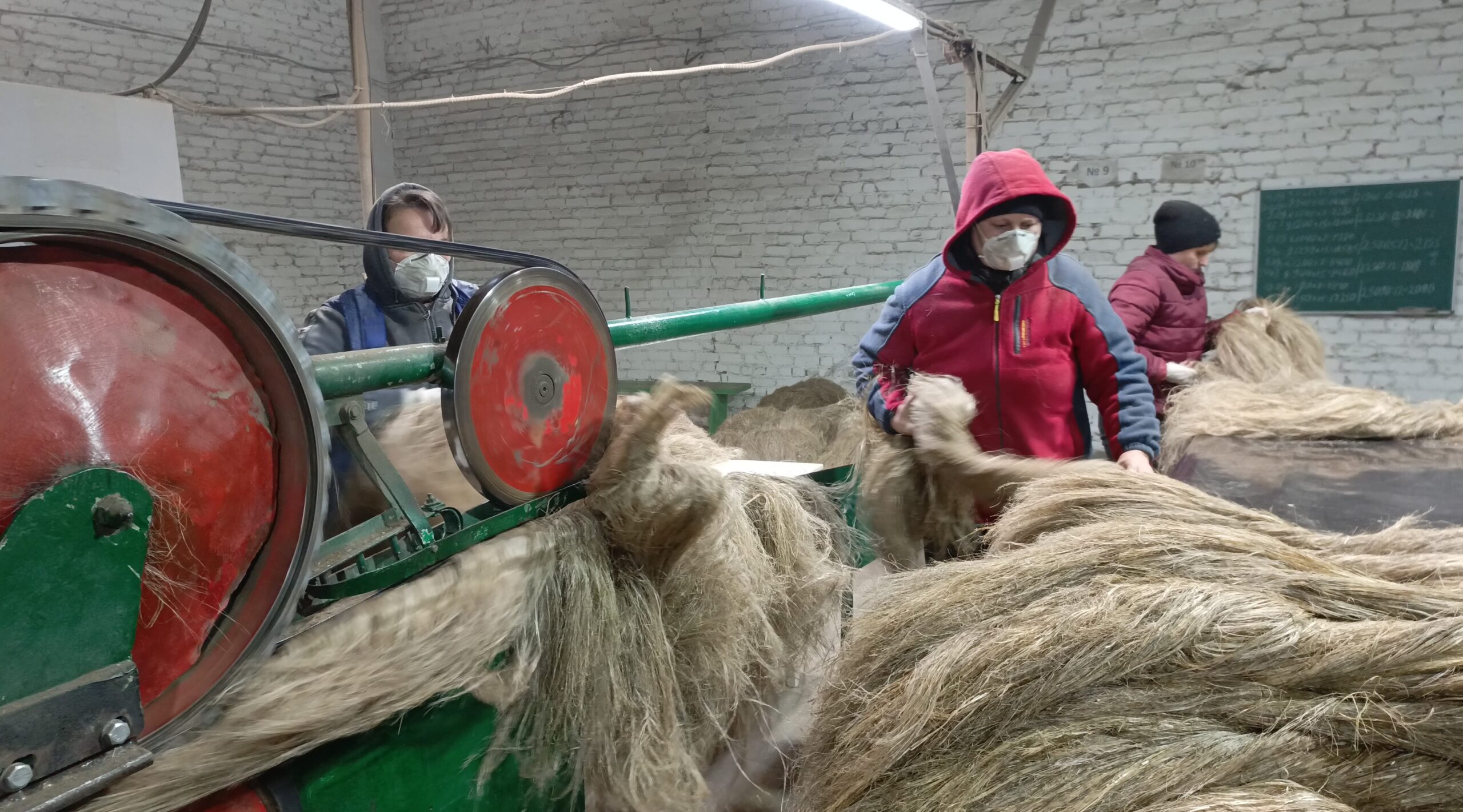 В Дубровском районе возродили «Брянский лён»