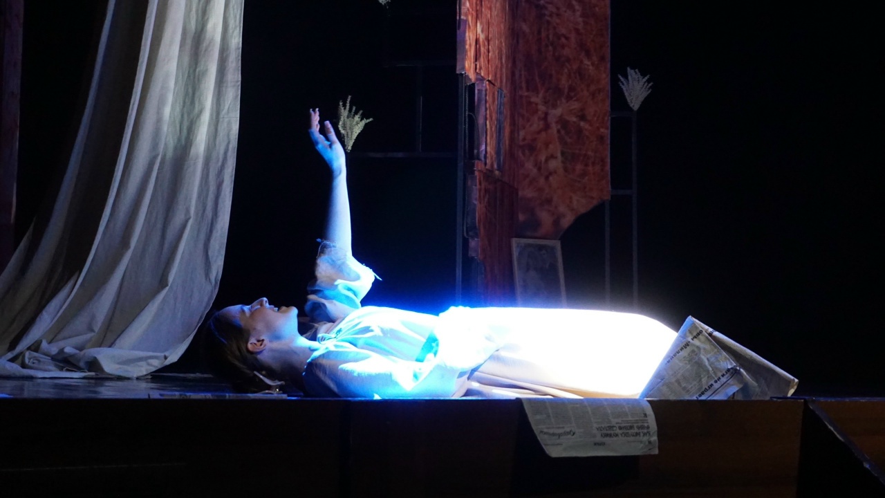 В Брянском театре кукол прошла премьера спектакля «Шахтёрская дочь» о героине Донбасса