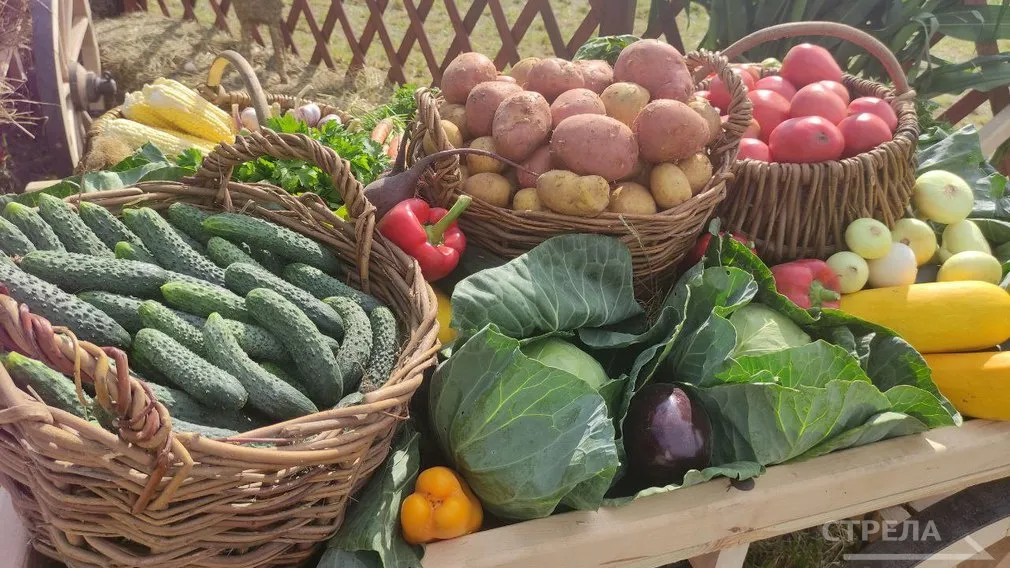 Сезон ярмарок стартует в Брянской области 4 апреля