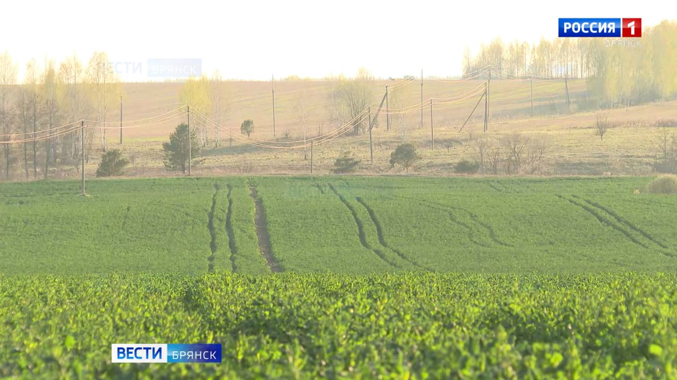 После апрельских холодов аграрии оценивают риски для урожая