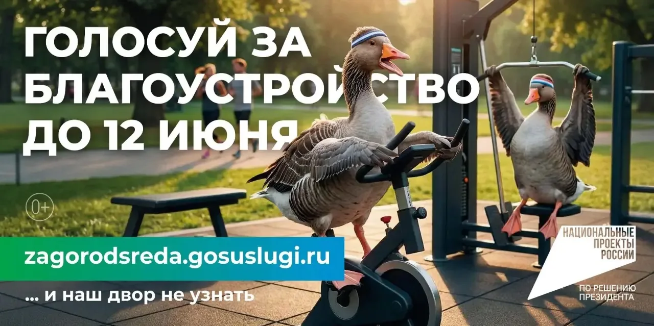 Стартовало голосование за объекты благоустройства:как россияне меняют свои города