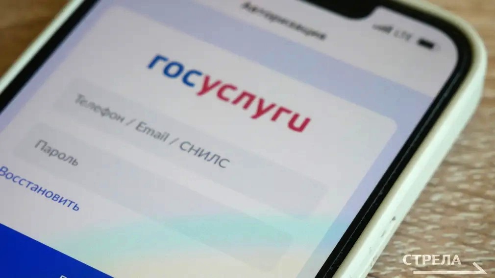 «Госуслуги Дом»: приложение для управления квартирой и оплаты ЖКХ