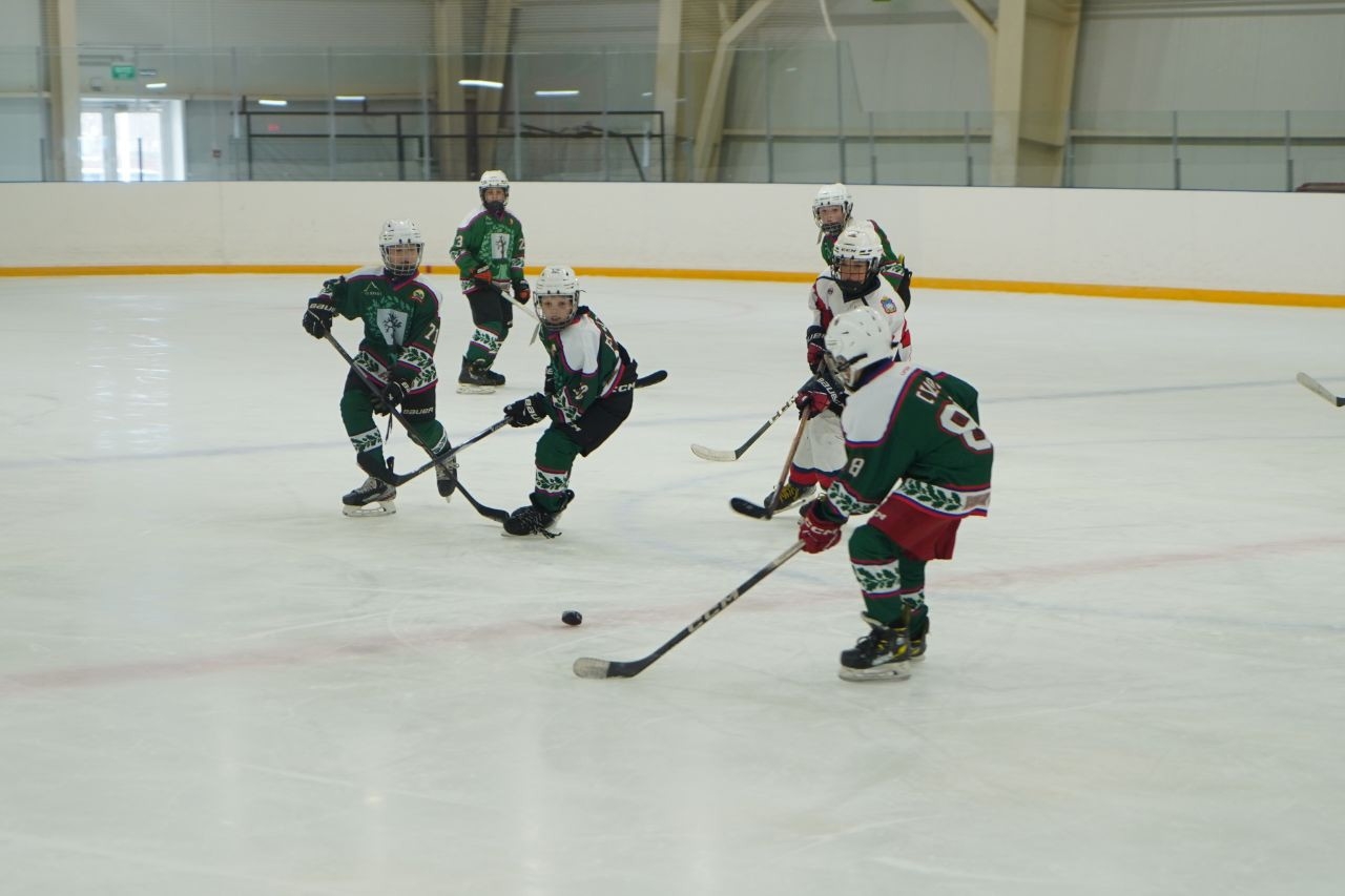 51 команда и тысяча юных хоккеистов: Брянщина подвела итоги турнира