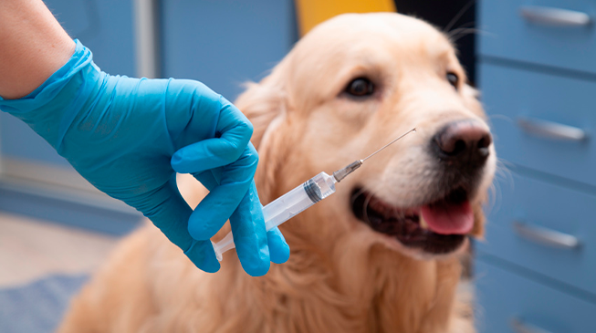 Мглинская райветстанция информирует