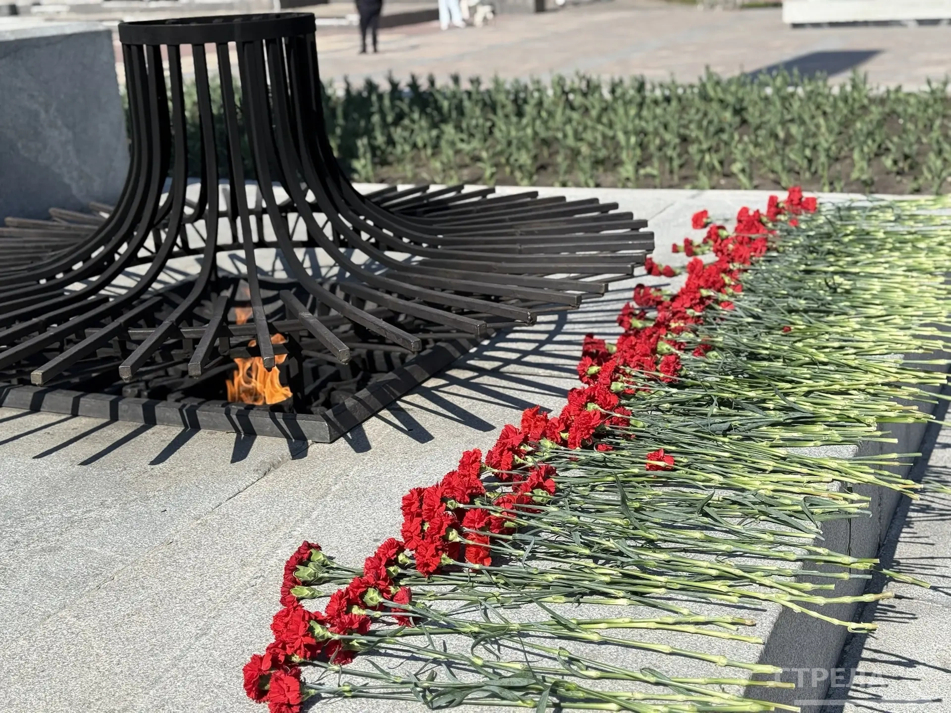 На площади Партизан в Брянске прошла акция «Огонь памяти»