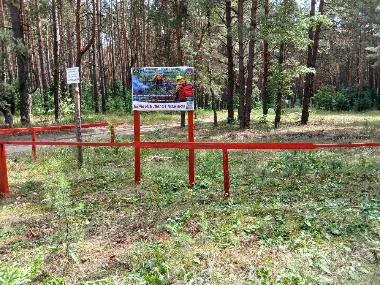 В Брянской области создали 153,97 км новых минерализованных полос
