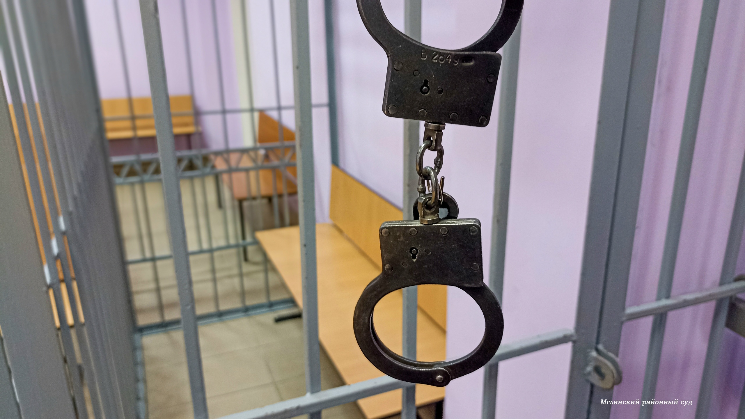 За неуплату алиментов житель Мглина отправился в колонию строгого режима