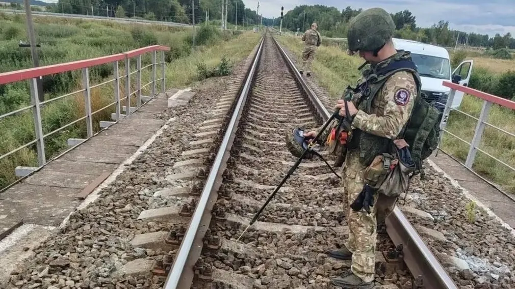 В Брянской области сапёры обезвреживают мины и ловушки