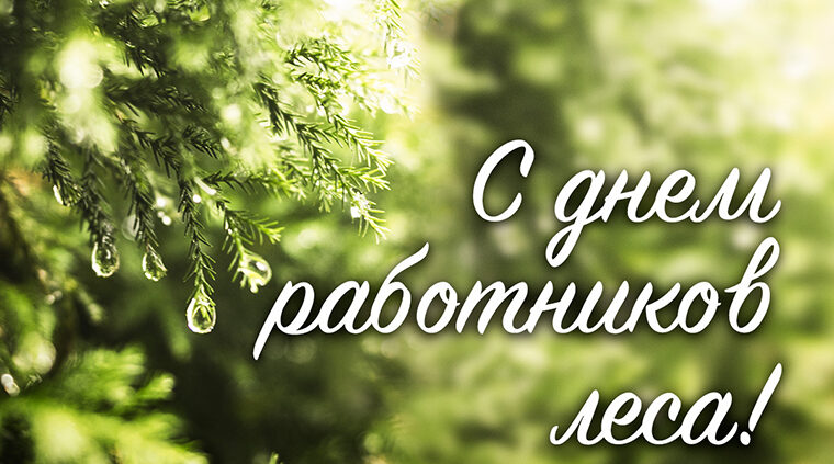 Руководители Мглинского района поздравляют с Днем работников леса