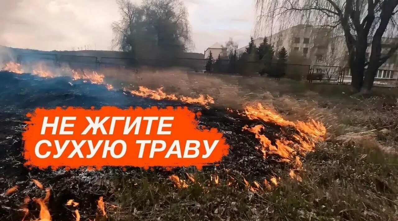 Профилактический месячник «Сухая трава»
