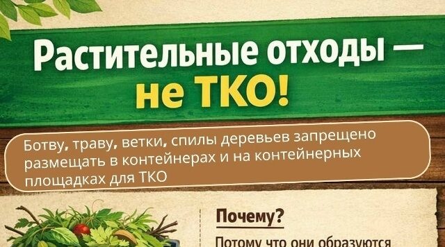 Мглинчанам напоминают, что растительные отходы не являются твёрдыми коммунальными отходами