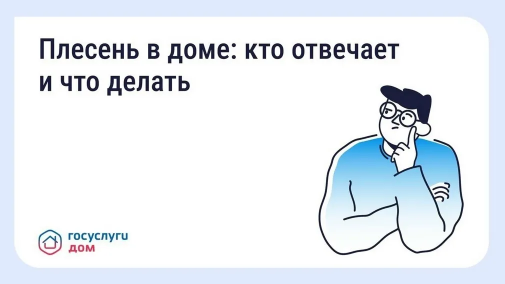 Жителям Брянщины дали инструкцию по борьбе с плесенью
