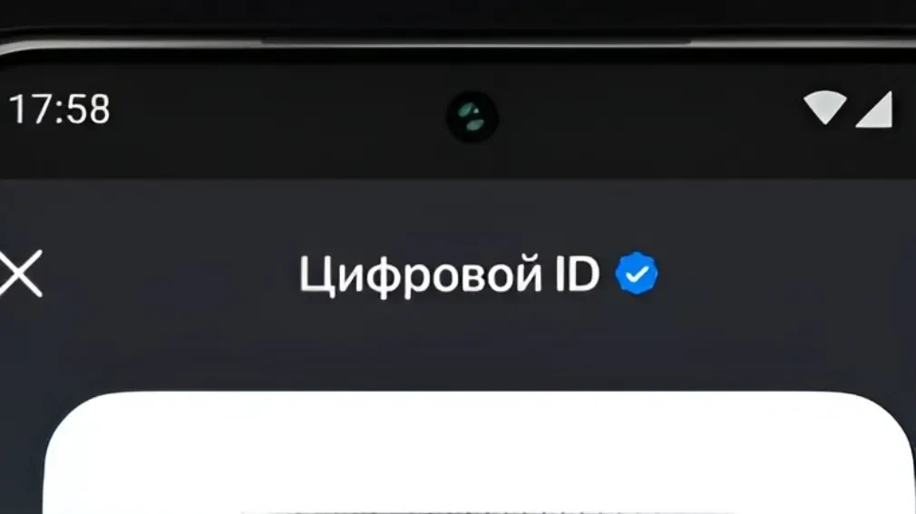 Покупателям из Брянска рассказали как использовать Цифровой ID в MAX
